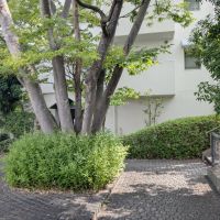 豊中市北緑丘3丁目の売買物件/敷地内は各所に公園や緑地スペースがあり、歩いていても気持ちが良いです。