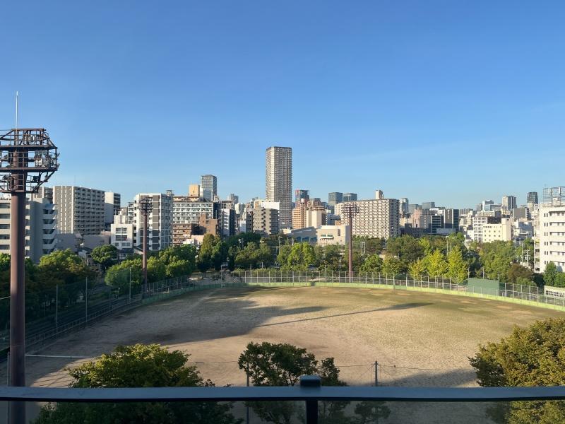 大阪府大阪市西区千代崎１丁目の賃貸物件/開放感のある公園と豊かな緑が広がります。（704号室からの眺望）