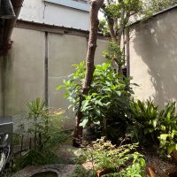 大阪市住吉区万代5丁目の賃貸物件/坪庭。水鉢がいい味出してます。