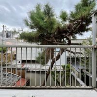 大阪市住吉区万代5丁目の賃貸物件/2階：南側バルコニー。