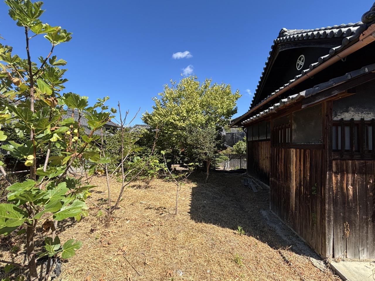 大阪府和泉市久井町の売買物件/現在庭にはびわの木が植わっています。