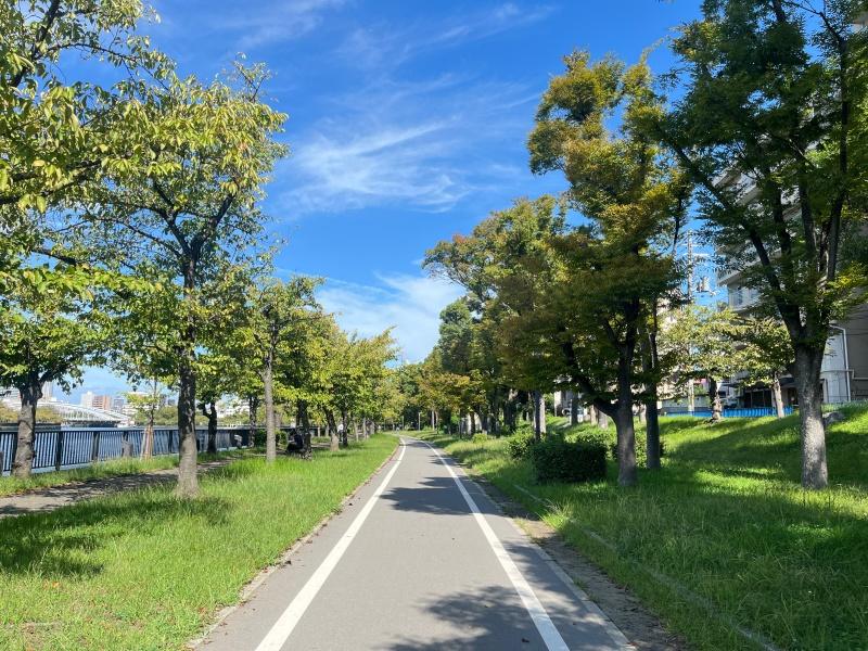 大阪府大阪市都島区網島町の賃貸物件/散歩のススメ③：並木道。春には桜が満開になります。