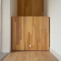 大阪府大阪市西区九条１丁目の賃貸物件/クローゼット左下に、謎の箱。