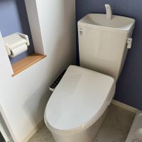 大阪府大阪市西区九条１丁目の賃貸物件/トイレ。