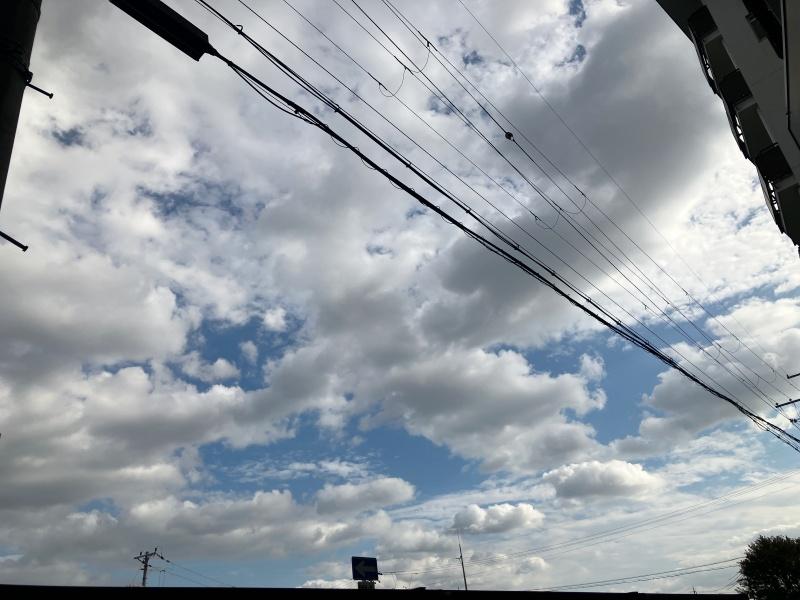 大阪府寝屋川市清水町の賃貸物件/庭から見上げると空が広がります。