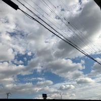 大阪府寝屋川市清水町の賃貸物件/庭から見上げると空が広がります。