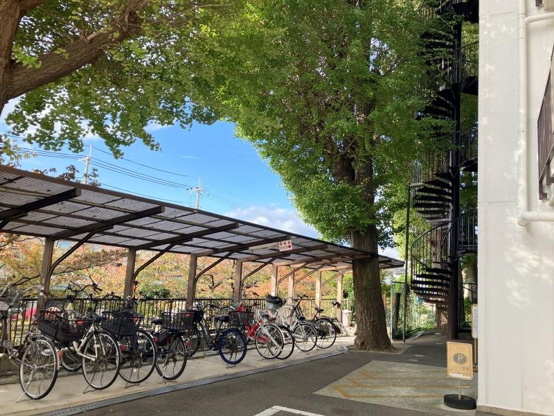 大阪府寝屋川市清水町の賃貸物件/駐輪場。大きな木もあります。