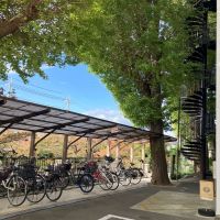 大阪府寝屋川市清水町の賃貸物件/駐輪場。大きな木もあります。