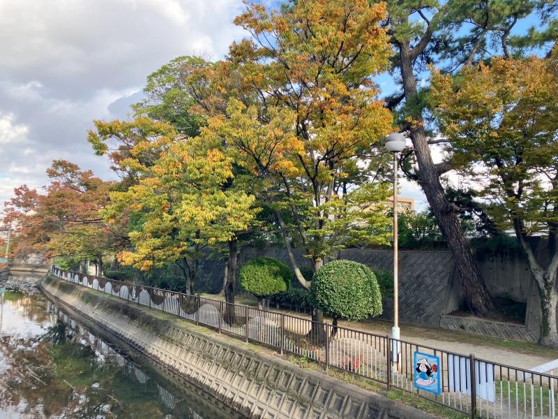 大阪府寝屋川市清水町の賃貸物件/季節の移ろいを感じる木々に癒されます。