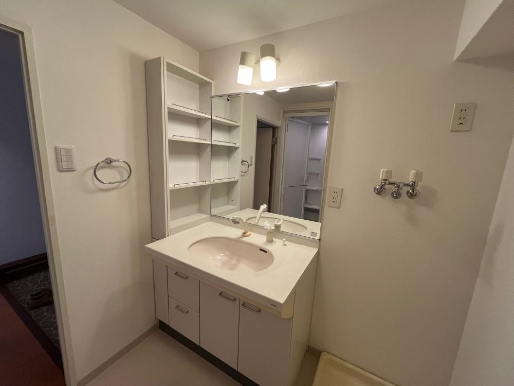 豊中市新千里西町２丁目の売買物件/広々とした脱衣洗面室。