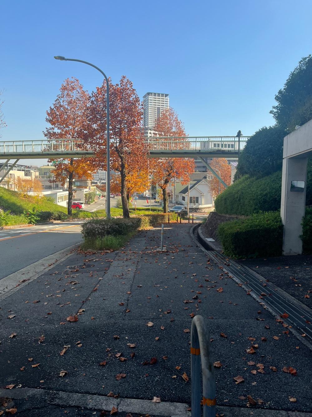 豊中市新千里西町２丁目の売買物件/駅までの道は並木の坂道。バスもあります◎