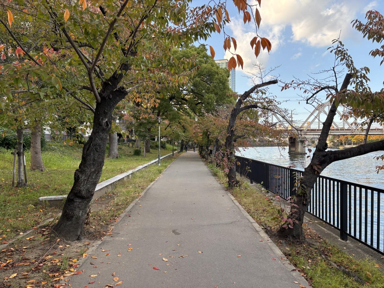 大阪市北区天満橋2丁目の売買物件/物件のすぐ側には大川が流れ、遊歩道もあるので都市にいながら心にゆとりが出来る暮らし方が出来そうです。