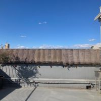 大阪府大阪市港区市岡元町１丁目の賃貸物件/赤青黄の陽気なライトも残置物。