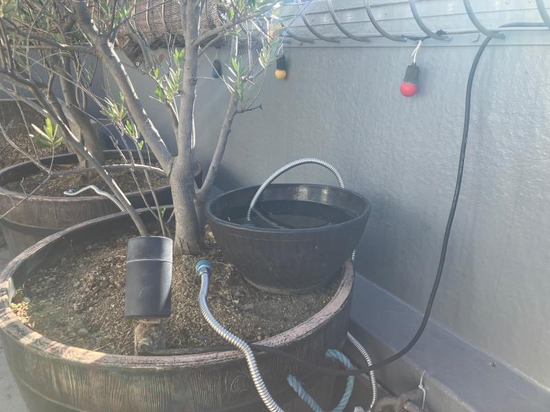 大阪府大阪市港区市岡元町１丁目の賃貸物件/メダカでも飼っていたのでしょうか？