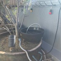 大阪府大阪市港区市岡元町１丁目の賃貸物件/メダカでも飼っていたのでしょうか？