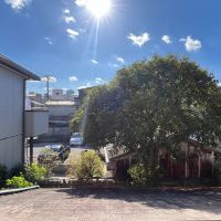 大阪市都島区大東町2丁目 の賃貸物件/眺望は緑と空！気持ちがいいです。