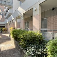 大阪府大阪市東成区中道1丁目の賃貸物件/緑が豊かな共有スペース。