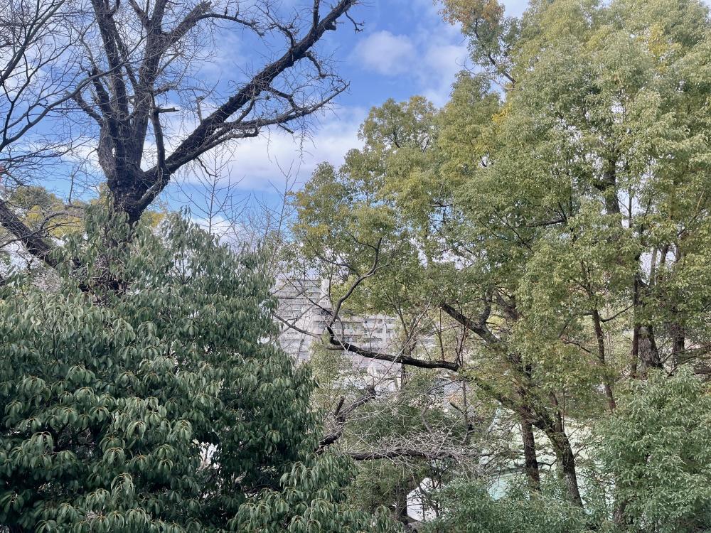  大阪府守口市土居町の賃貸物件/バルコニーからの眺望。自然好きにとっては気持ちのいい環境。