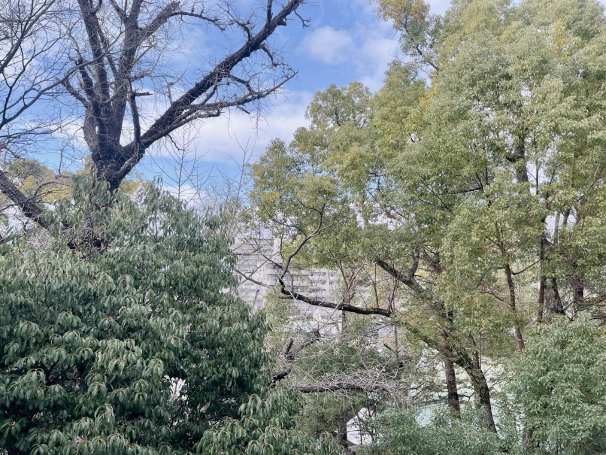  大阪府守口市土居町の賃貸物件/バルコニーからの眺望。自然好きにはとっても気持ちのいい環境。