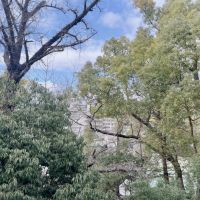  大阪府守口市土居町の賃貸物件/バルコニーからの眺望。自然好きにはとっても気持ちのいい環境。