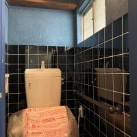 東大阪市小若江1の賃貸物件/右はトイレ。タイルが可愛い。