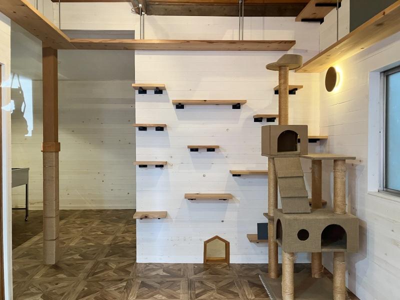 大阪府守口市大久保町２丁目の賃貸物件/360度猫の遊び場。