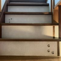 大阪府守口市大久保町２丁目の賃貸物件/にゃんこ跡。