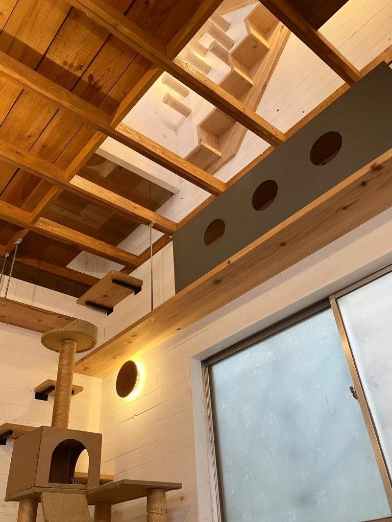 大阪府守口市大久保町２丁目の賃貸物件/猫のみが通れる吹き抜けキャットタワー。