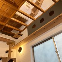 大阪府守口市大久保町２丁目の賃貸物件/猫のみが通れる吹き抜けキャットタワー。