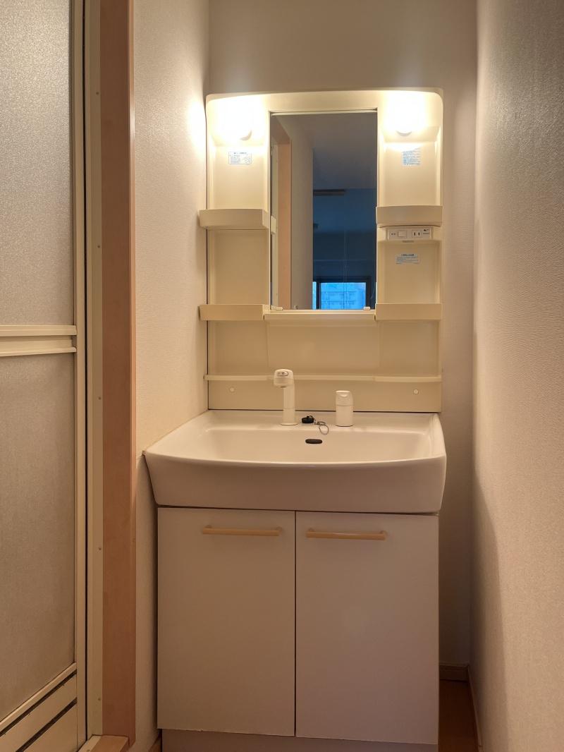 大阪府大阪市西区靱本町2丁目の賃貸物件/洗面。