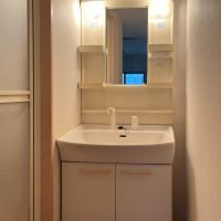 大阪府大阪市西区靱本町2丁目の賃貸物件/洗面。