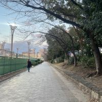 大阪府大阪市西区靱本町2丁目の賃貸物件/徒歩1分で靱公園。