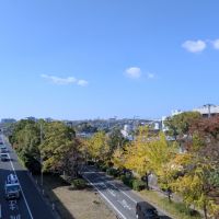 堺市南区原山台4丁の売買物件/最寄りの栂・美木多駅の歩道橋からの風景。