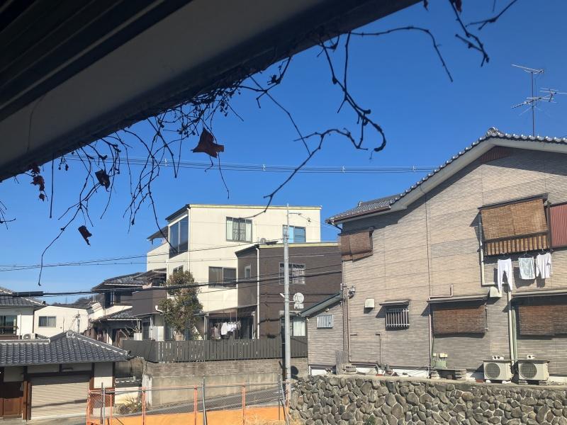 東大阪市東石切町２丁目の賃貸物件/東側開口には上部から蔦が迫り来る。