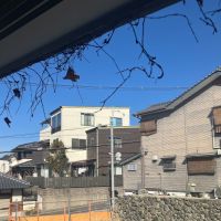 東大阪市東石切町２丁目の賃貸物件/東側開口には上部から蔦が迫り来る。