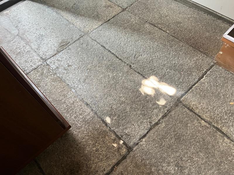 大阪市西淀川区福町2丁目の賃貸物件/玄関で揺れる木漏れ日が綺麗。