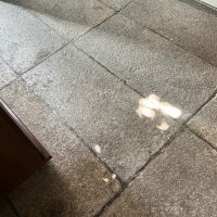 大阪市西淀川区福町2丁目の賃貸物件/玄関で揺れる木漏れ日が綺麗。