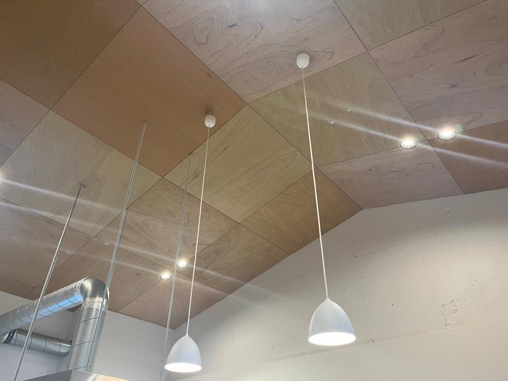 和泉市府中町四丁目１８番の売買物件/正方形のラワンが印象的