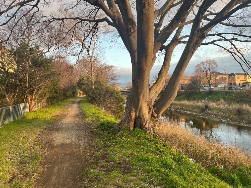 和泉市府中町四丁目１８番の売買物件/いい木。