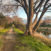 和泉市府中町四丁目１８番の売買物件/いい木。