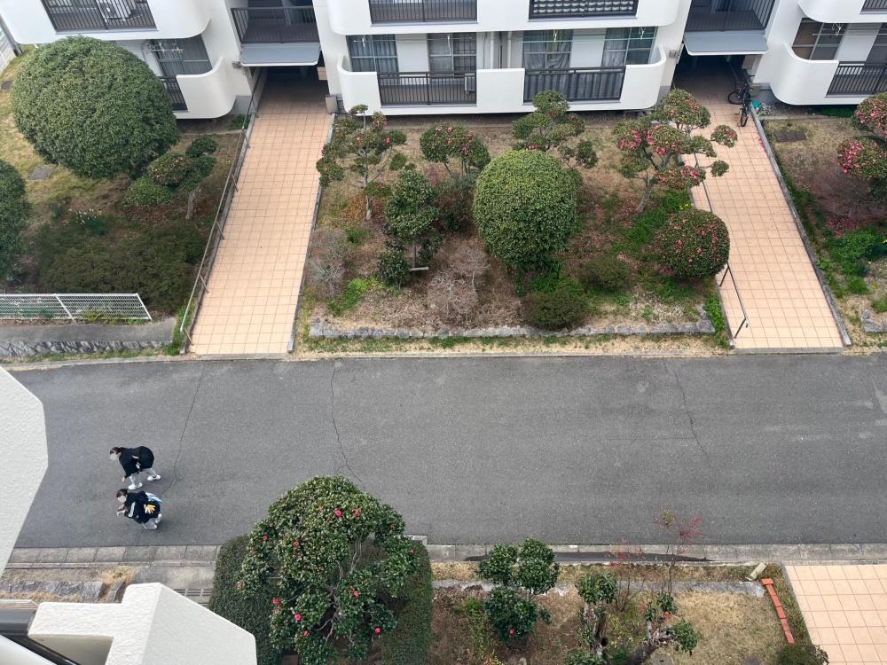 和泉市府中町四丁目１８番の売買物件/丸く剪定された木々が可愛い