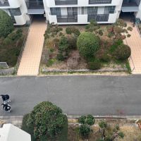 和泉市府中町四丁目１８番の売買物件/丸く剪定された木々が可愛い