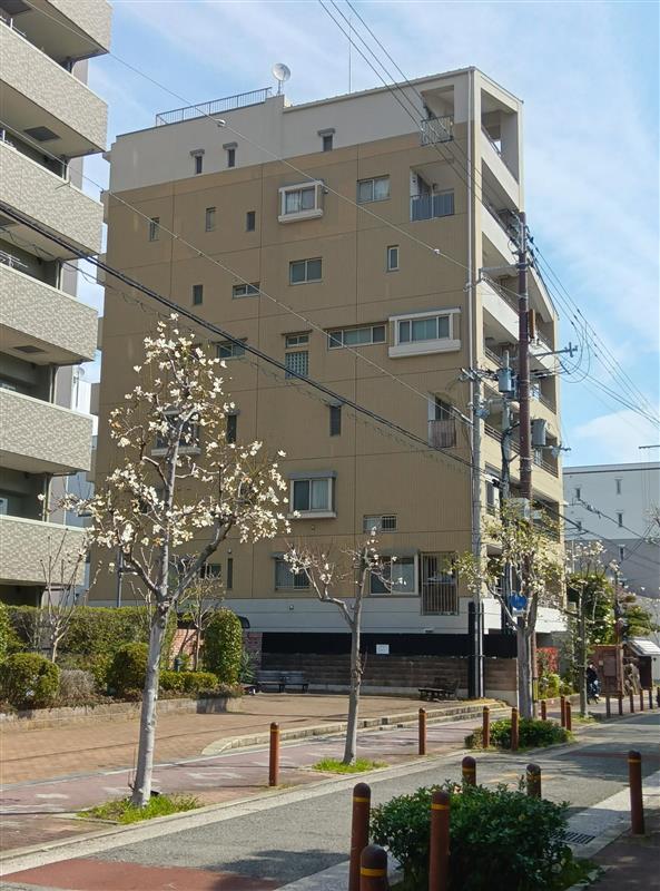 大阪市東住吉区南田辺5丁目の売買物件/外観。窓の位置がバラバラなのはコーポラティブならでは。