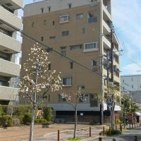 大阪市東住吉区南田辺5丁目の売買物件/外観。窓の位置がバラバラなのはコーポラティブならでは。