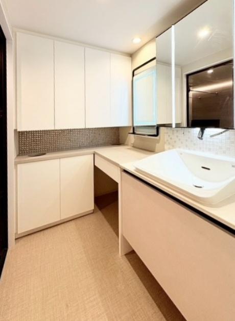 大阪市東住吉区南田辺5丁目の売買物件/広い洗面スペース。収納がたくさんなのも嬉しいポイント。