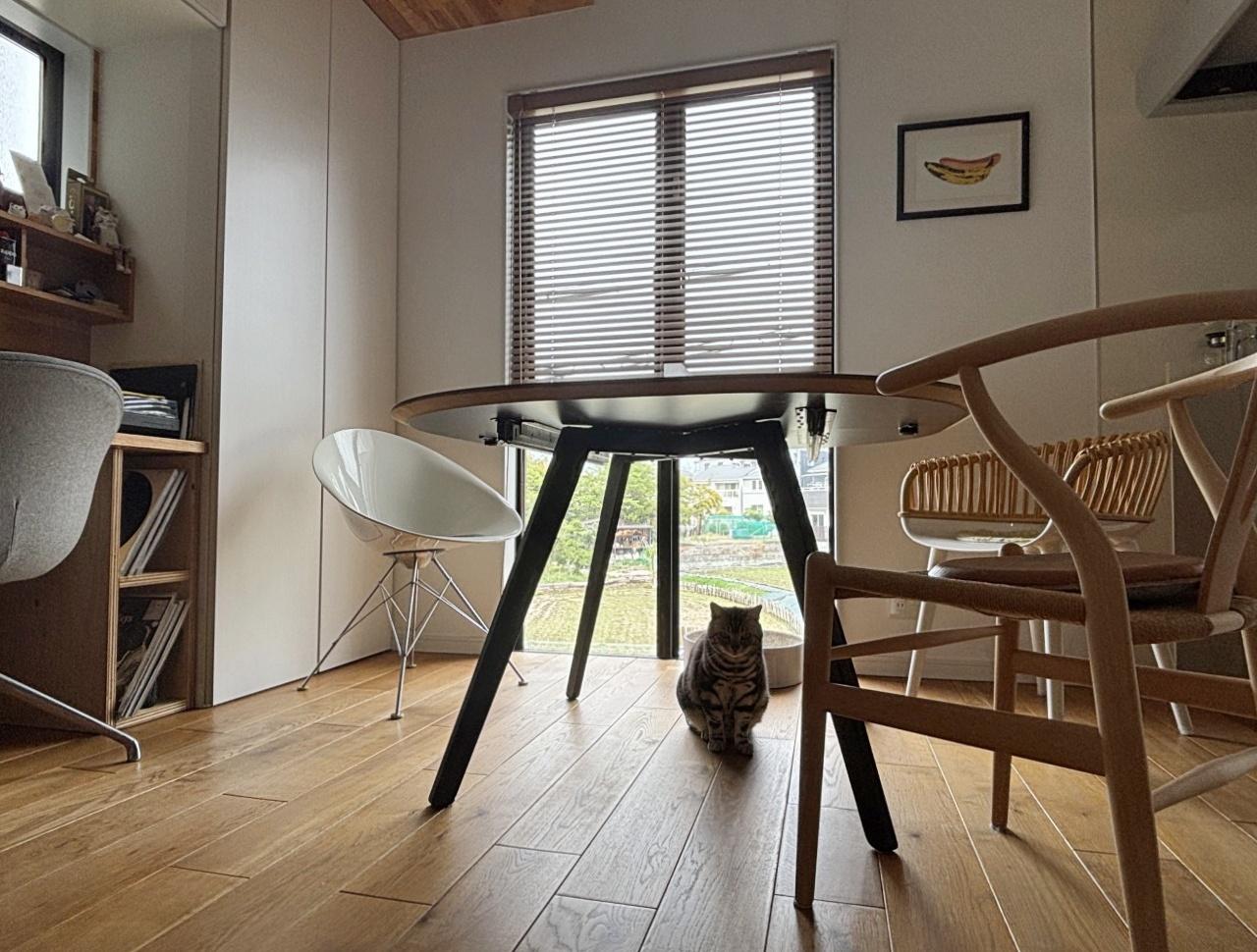 豊中市東泉丘1丁目の売買物件/採光も充分で明るい室内、内覧をお待ちしております。