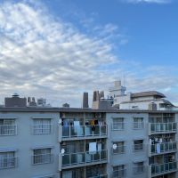 大阪府大阪市東淀川区下新庄６丁目の賃貸物件/わ〜！気持ちいい！夕暮れも綺麗だろうなあ。