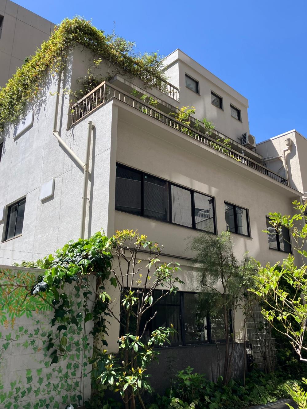 大阪市北区西天満４丁目の賃貸物件/緑が溢れ出すビル