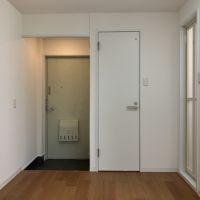 大阪市北区豊崎３丁目の賃貸物件/扉の内側は淡いグリーンでかわいい。