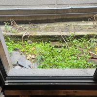 大阪市北区中津3丁目の賃貸物件/雑草とのコントラストが素敵。